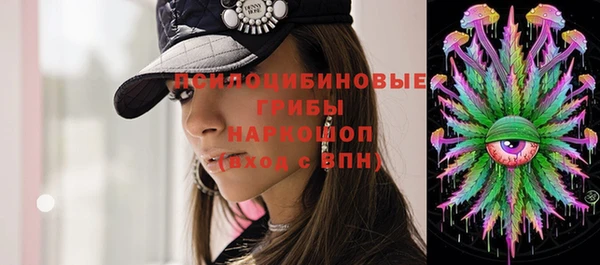 a pvp Алзамай