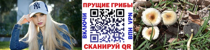 Галлюциногенные грибы Magic Shrooms  где продают   Неман 